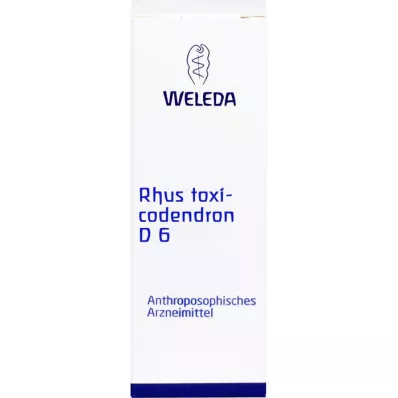 Rhus toxicodendron D6, 50 ml Rhus toxicodendron D6, 50 ml