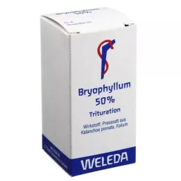 BRYOPHYLLUM 50 % jauhe oraaliseen käyttöön, 20 g