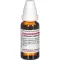 LATRODECTUS mactans D 8 Laimennus, 20 ml