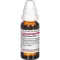 VIPERA BERUS D 12 Laimennus, 20 ml