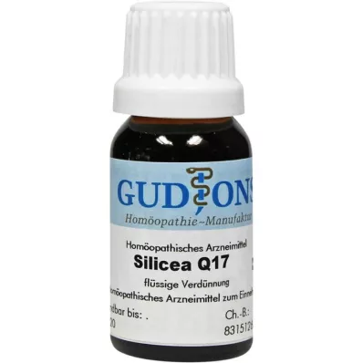 SILICEA Q 17 -liuos, 15 ml