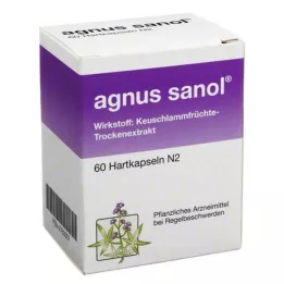 AGNUS SANOL kovat kapselit, 60 kpl