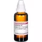 LYCOPODIUM D 2 Laimennus, 50 ml
