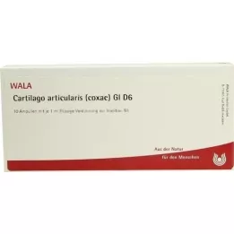 CARTILAGO nivels coxae GL d 6 ampoulia, 10x1 ml