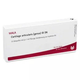 CARTILAGO articularis-suku GL D 6 ampullit, 10X1 ml
