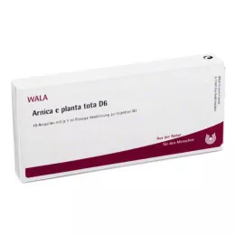 ARNICA E Planta yhteensä D 6 ampullia, 10X1 ml