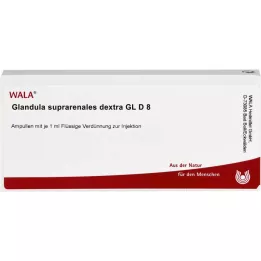GLANDULA SUPRARENALES dextra GL D 8 ampullia, 10 x 1 ml