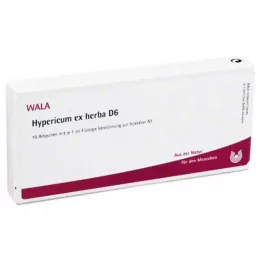 HYPERICUM EX Herba D 6 -ampullit, 10X1 ml