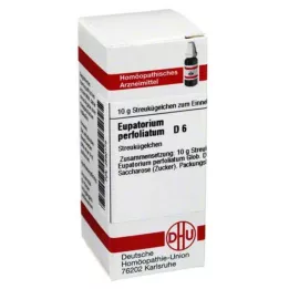 EUPATORIUM PERFOLIATUM D 6 Globuli, 10 g