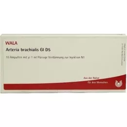 ARTERIA BRACHIALIS GL D 5 Ampules, 10x1 ml