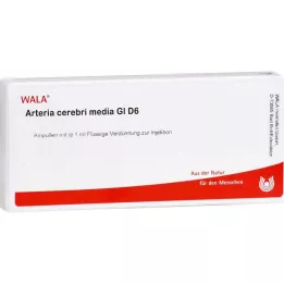 ARTERIA CEREBRI väliaine GL D 6 ampullia, 10X1 ml