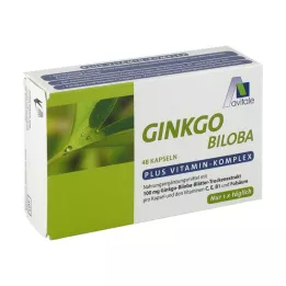 GINKGO 100 mg kapselit+B1+C+E, 48 kpl