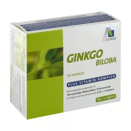 GINKGO 100 mg kapselit+B1+C+E, 192 kpl