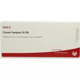 CAVUM tympani GL d 6 ampoulia, 10x1 ml