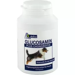 GLUCOSAMIN+CHONDROITIN Koirien kapselit, 120 kpl