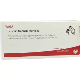 ISCUCIN quercus Strength B -ampullit, 10X1 ml