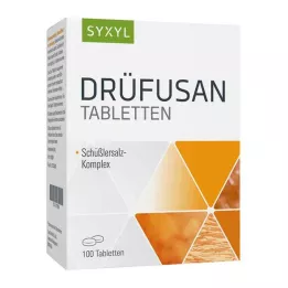 DRÜFUSAN Syxyl-tabletit, 100 kpl