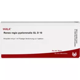 RENES REGIO pyelorenalis GL D 10 ampullia, 10X1 ml