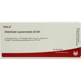GLANDULAE SUPRARENALES GL D 8 ampulli, 10X1 ml