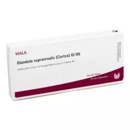 GLANDULA SUPRARENALES cortex GL D 6 ampullit, 10X1 ml