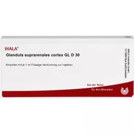 GLANDULA SUPRARENALES Cortex GL D 30 Ampules, 10x1 ml