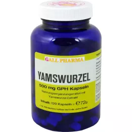 YAMSWURZEL 500 mg GPH kapselit, 120 kpl
