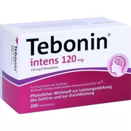 TEBONIN aikomus 120 mg kalvopäällystetyt tabletit, 200 kpl