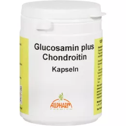 GLUCOSAMIN+CHONDROITIN kapselit, 120 kpl