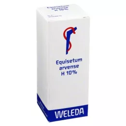 EQUISETUM ARVENSE H 10 % öljyinen hankaus, 50 ml