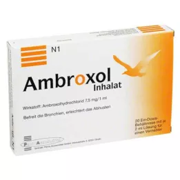 AMBROXOL Inhalaatioliuos sumuttimeen, 20X2 ml