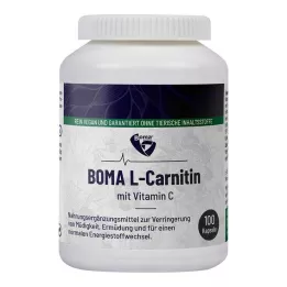 L-CARNITIN 500 kapselia, 100 kpl