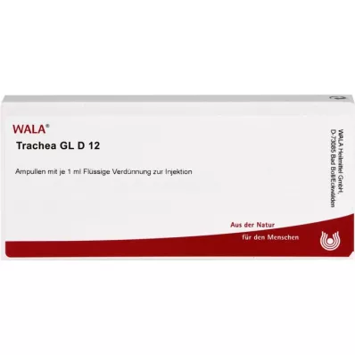 TRACHEA GL D 12 ampullia, 10X1 ml