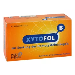 XYTO Fol B kapselit, 90 kpl