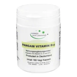 PANGAM B15-vitamiini Vegi-kapselit, 180 kpl