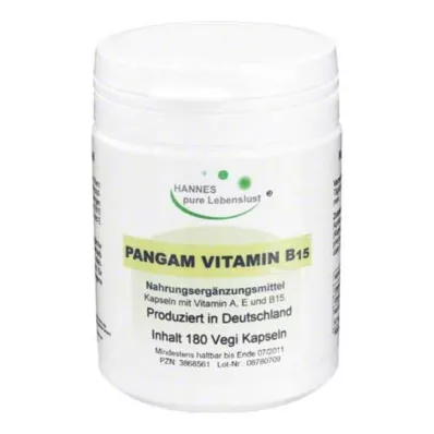 PANGAM B15-vitamiini Vegi-kapselit, 180 kpl PANGAM B15-vitamiini Vegi-kapselit, 180 kpl