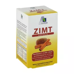 ZIMT KAPSELN 500 mg+C+E-vitamiini, 120 kpl