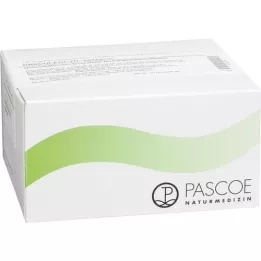 PASCOLEUCYN-Injektopas Ampoules, 100 kpl