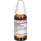 CEANOTHUS AMERICANUS D 3 Laimennus, 20 ml