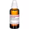 Echinacea on D30, 50 ml
