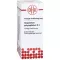 GNAPHALIUM POLYCEPHALUM D 3 Laimennus, 50 ml