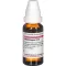 MANDRAGORA D 12 Laimennus, 20 ml
