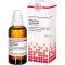 Phellandrium Aquat D 3, 50 ml