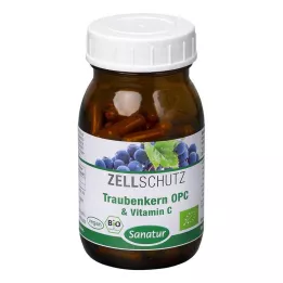 OPC TRAUBENKERN &amp; C-vitamiinikapselit, 90 kpl