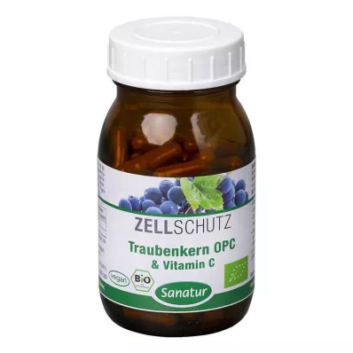 OPC TRAUBENKERN &amp; C-vitamiinikapselit, 90 kpl