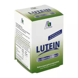 LUTEIN KAPSELN 6 mg + mustikka, 120 kpl