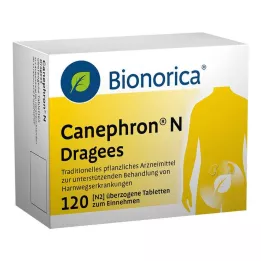 CANEPHRON N Dragees, 120 kpl
