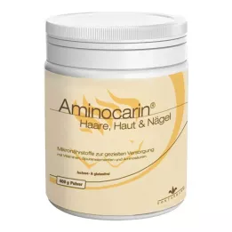 AMINOCARIN Jauhettakki, 400 g