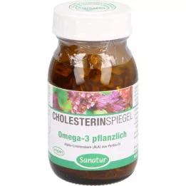 OMEGA-3 FETTSÄUREN 100 % kasviskapselia, 120 kpl