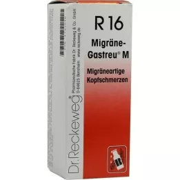 MIGRÄNE-GASTREU M R16 -sekoitus, 50 ml