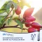 CH ALPHA Plus juomaampullit, 30 kpl
